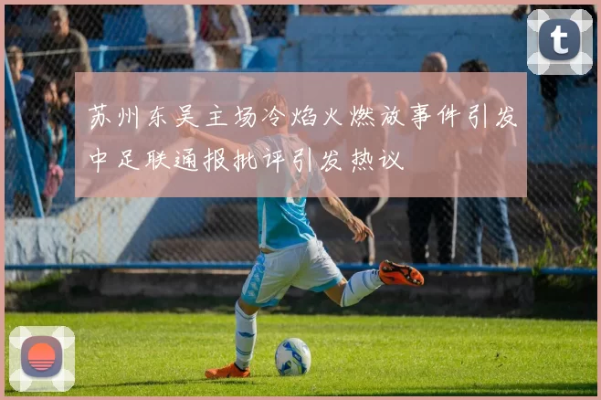 苏州东吴主场冷焰火燃放事件引发中足联通报批评引发热议