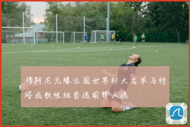 穆阿尼无缘法国世界杯大名单马特塔成教练组首选前锋人选